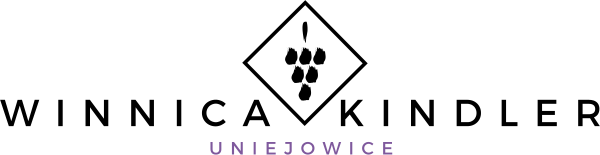 Logo_kolor (1)